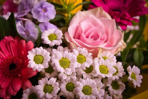 bouquet of flowers